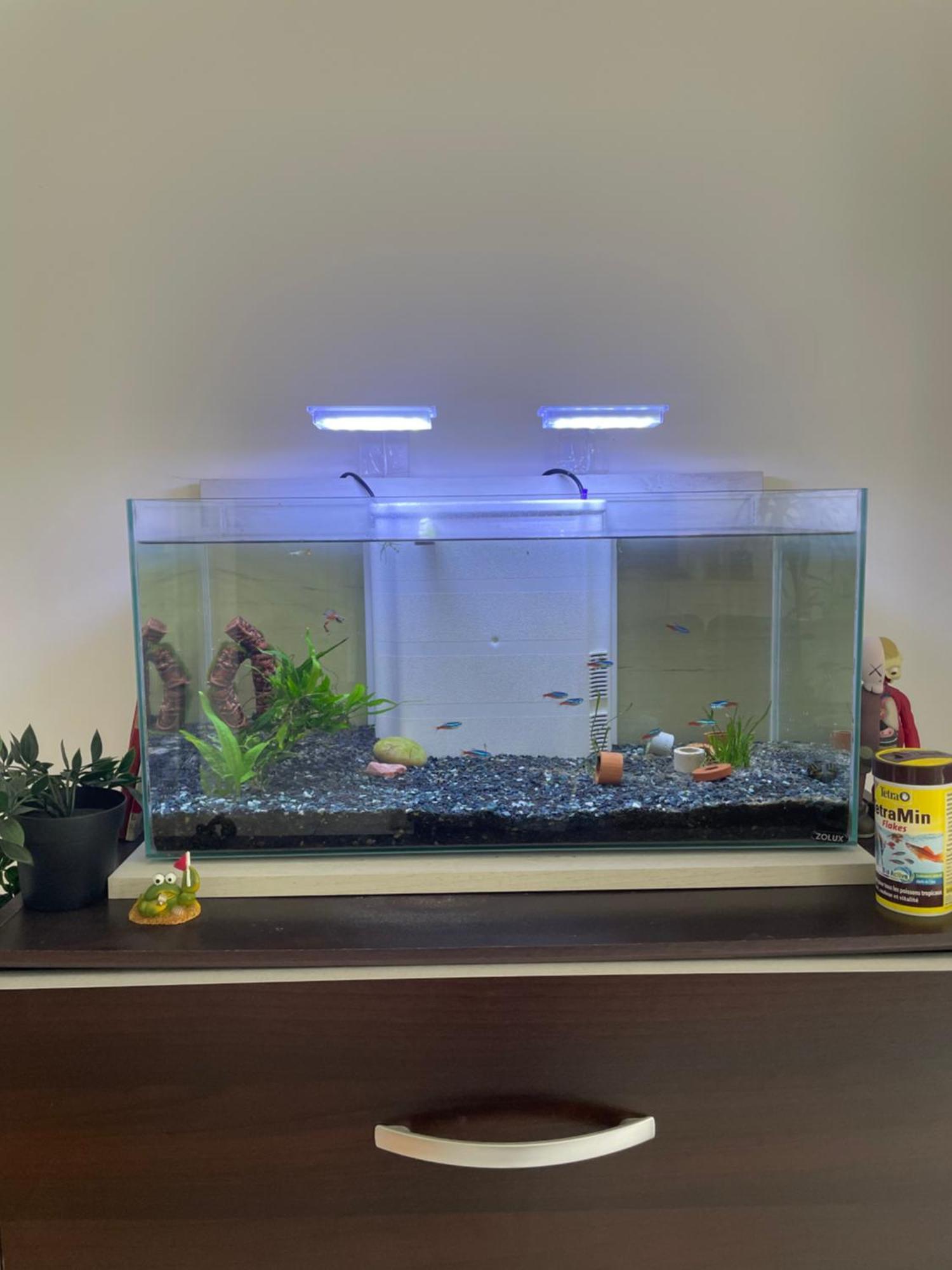 Appartement De Luca Saint-André-de-Cubzac 외부 사진